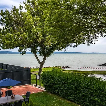 Gabriella - Vizparti